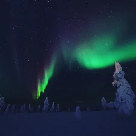 Διαμέρισμα Castillo Kelotaehti Saariselka