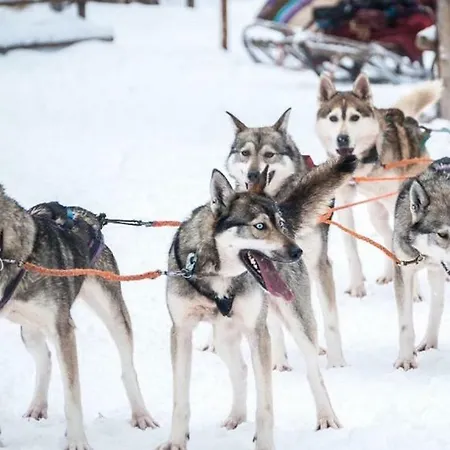 Castillo Kelotaehti Saariselka