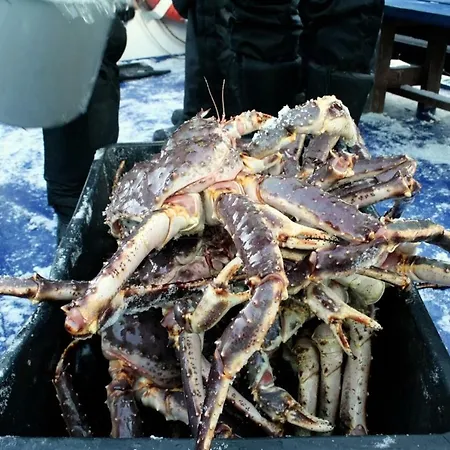 Castillo Kelotaehti *