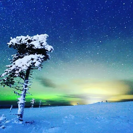 Castillo Kelotaehti Διαμέρισμα *