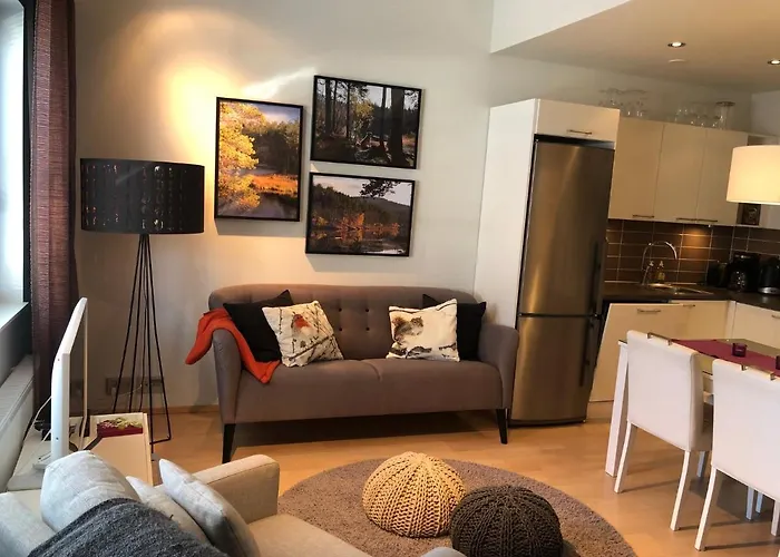 アパート カスティリョ ケロタフティ サーリセルカ